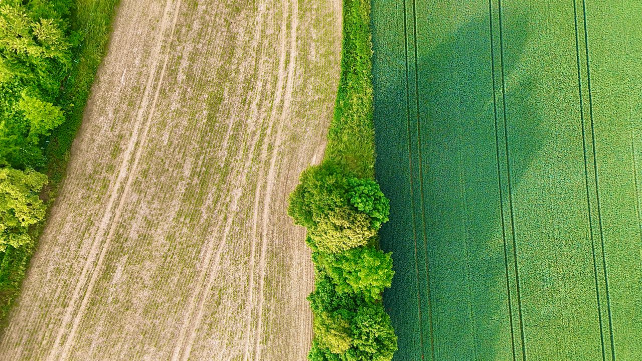 Vista aérea de campos verdes y terrenos delimitados
